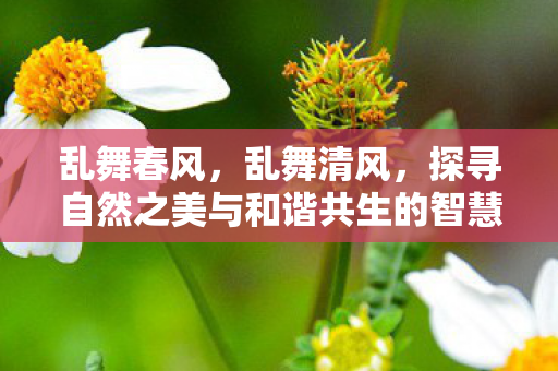 乱舞春风，乱舞清风，探寻自然之美与和谐共生的智慧