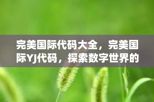 完美国际代码大全,完美国际YJ代码,探索数字世界的秘密之门 完美国际代码大全,完美国际YJ代码,探索数字世界的秘密之门
