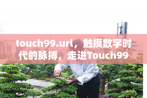 touch99.url，触摸数字时代的脉搏，走进Touch99论坛的世界