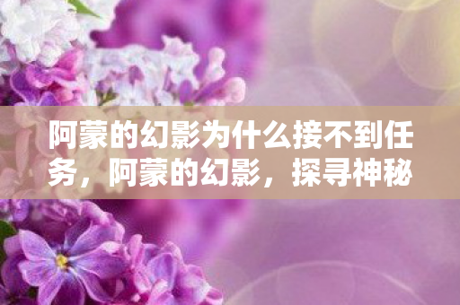 阿蒙的幻影为什么接不到任务，阿蒙的幻影，探寻神秘力量的背后真相