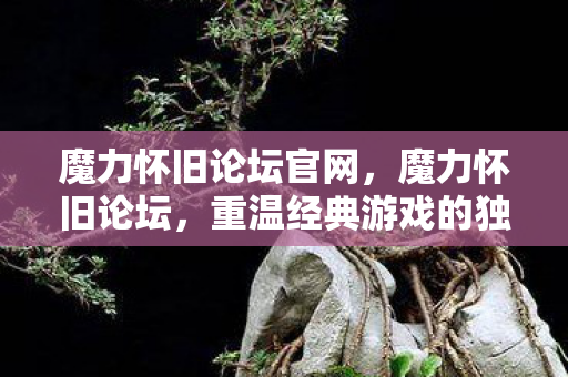 魔力怀旧论坛官网，魔力怀旧论坛，重温经典游戏的独特魅力