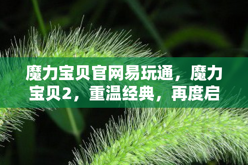 魔力宝贝官网易玩通，魔力宝贝2，重温经典，再度启程