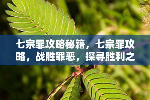 七宗罪攻略秘籍,七宗罪攻略,战胜罪恶,探寻胜利之路 七宗罪攻略秘籍,七宗罪攻略,战胜罪恶,探寻胜利之路