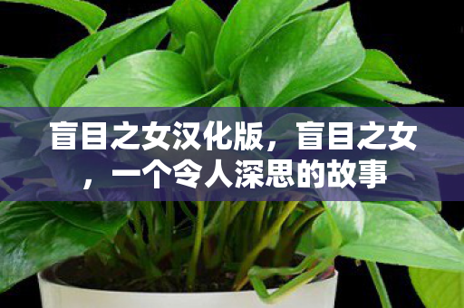 盲目之女汉化版，盲目之女，一个令人深思的故事