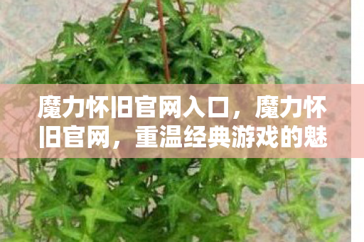 魔力怀旧官网入口，魔力怀旧官网，重温经典游戏的魅力时光