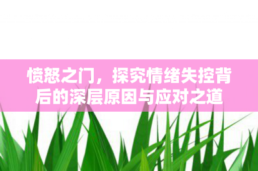 愤怒之门，探究情绪失控背后的深层原因与应对之道