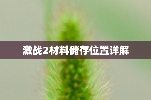 激战2材料储存位置详解 激战2材料储存位置详解