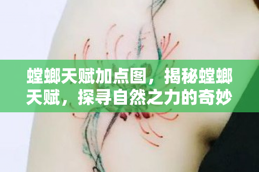 螳螂天赋加点图，揭秘螳螂天赋，探寻自然之力的奇妙展现