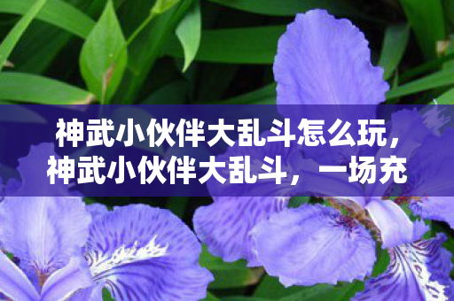 神武小伙伴大乱斗怎么玩，神武小伙伴大乱斗，一场充满策略与激情的冒险之旅