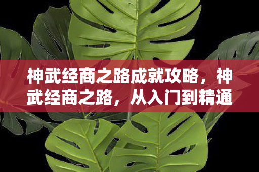 神武经商之路成就攻略，神武经商之路，从入门到精通的全方位指南