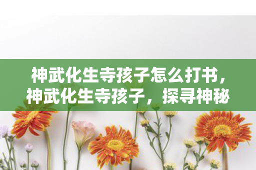 神武化生寺孩子怎么打书,神武化生寺孩子,探寻神秘的佛门子弟成长之路 神武化生寺孩子怎么打书,神武化生寺孩子,探寻神秘的佛门子弟成长之路