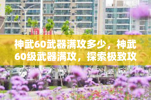 神武60武器满攻多少，神武60级武器满攻，探索极致攻击力的奥秘