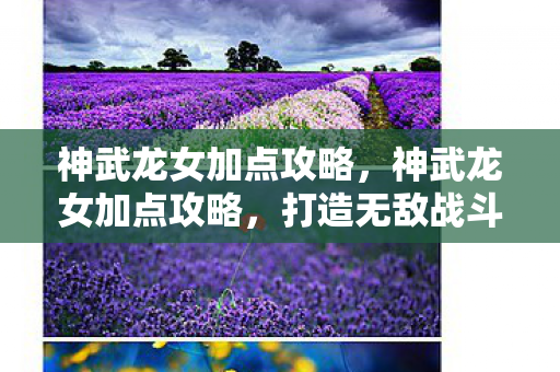 神武龙女加点攻略,神武龙女加点攻略,打造无敌战斗女神 神武龙女加点攻略,神武龙女加点攻略,打造无敌战斗女神