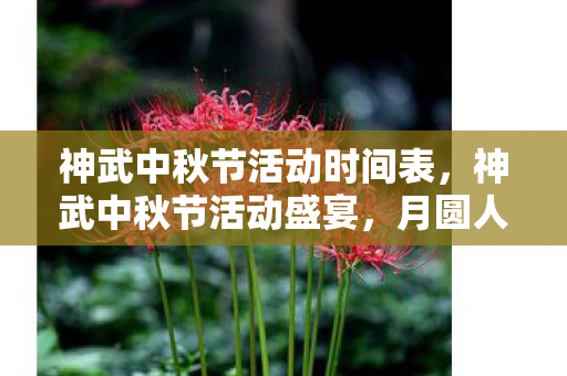 神武中秋节活动时间表，神武中秋节活动盛宴，月圆人团圆，精彩活动乐不停！