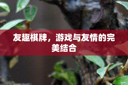 友趣棋牌，游戏与友情的完美结合