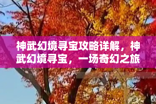 神武幻境寻宝攻略详解,神武幻境寻宝,一场奇幻之旅 神武幻境寻宝攻略详解,神武幻境寻宝,一场奇幻之旅