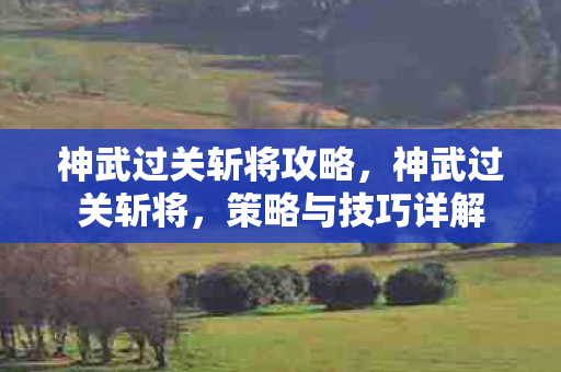 神武过关斩将攻略，神武过关斩将，策略与技巧详解