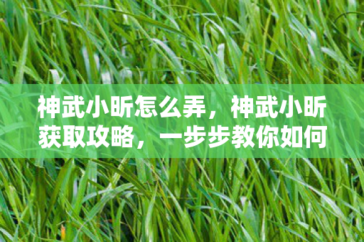 神武小昕怎么弄,神武小昕获取攻略,一步步教你如何获得神武小昕 神武小昕怎么弄,神武小昕获取攻略,一步步教你如何获得神武小昕