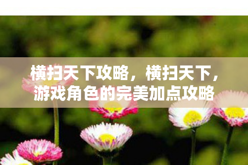 横扫天下攻略,横扫天下,游戏角色的完美加点攻略 横扫天下攻略,横扫天下,游戏角色的完美加点攻略