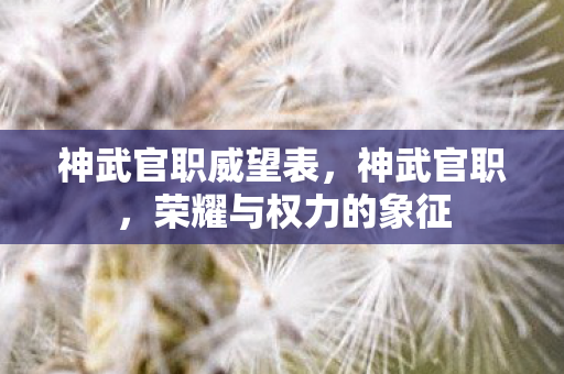 神武官职威望表,神武官职,荣耀与权力的象征 神武官职威望表,神武官职,荣耀与权力的象征