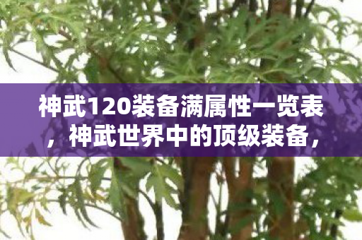神武120装备满属性一览表,神武世界中的顶级装备,神武120装备详解 神武120装备满属性一览表,神武世界中的顶级装备,神武120装备详解