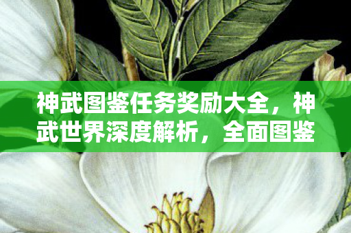 神武图鉴任务奖励大全,神武世界深度解析,全面图鉴带你领略奇幻大陆的魅力 神武图鉴任务奖励大全,神武世界深度解析,全面图鉴带你领略奇幻大陆的魅力