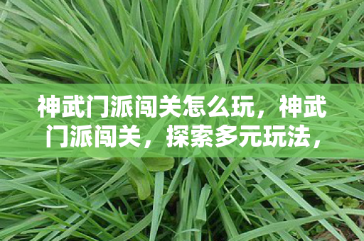 神武门派闯关怎么玩,神武门派闯关,探索多元玩法,体验无尽挑战 神武门派闯关怎么玩,神武门派闯关,探索多元玩法,体验无尽挑战