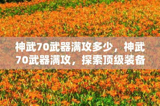 神武70武器满攻多少,神武70武器满攻,探索顶级装备的力量与魅力 神武70武器满攻多少,神武70武器满攻,探索顶级装备的力量与魅力