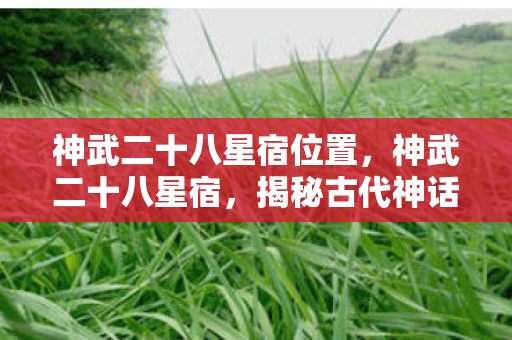神武二十八星宿位置,神武二十八星宿,揭秘古代神话中的壮丽星辰传奇 神武二十八星宿位置,神武二十八星宿,揭秘古代神话中的壮丽星辰传奇