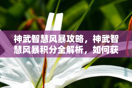 神武智慧风暴攻略,神武智慧风暴积分全解析,如何获取与高效利用 神武智慧风暴攻略,神武智慧风暴积分全解析,如何获取与高效利用
