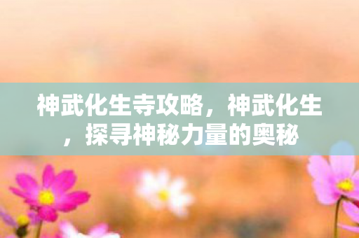 神武化生寺攻略,神武化生,探寻神秘力量的奥秘 神武化生寺攻略,神武化生,探寻神秘力量的奥秘