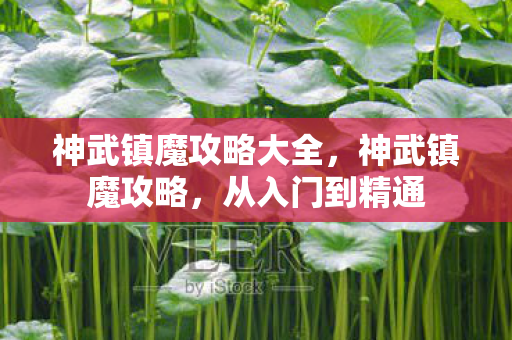 神武镇魔攻略大全,神武镇魔攻略,从入门到精通 神武镇魔攻略大全,神武镇魔攻略,从入门到精通