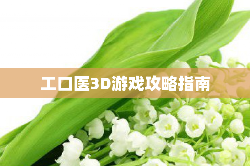 工口医3D游戏攻略指南 工口医3D游戏攻略指南