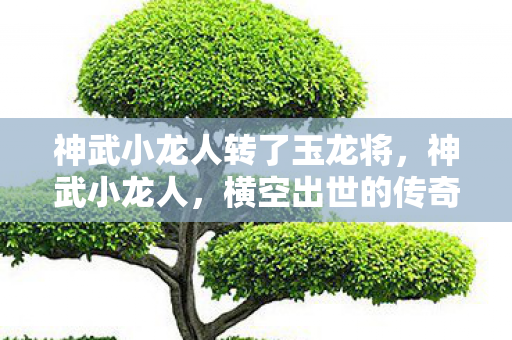 神武小龙人转了玉龙将,神武小龙人,横空出世的传奇英雄 神武小龙人转了玉龙将,神武小龙人,横空出世的传奇英雄