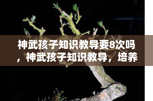 神武孩子知识教导要8次吗,神武孩子知识教导,培养未来的智慧之星 神武孩子知识教导要8次吗,神武孩子知识教导,培养未来的智慧之星