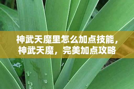 神武天魔里怎么加点技能,神武天魔,完美加点攻略 神武天魔里怎么加点技能,神武天魔,完美加点攻略