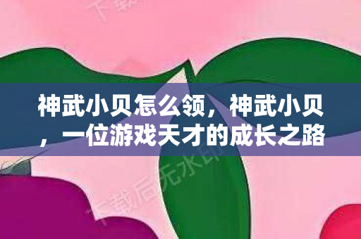 神武小贝怎么领,神武小贝,一位游戏天才的成长之路 神武小贝怎么领,神武小贝,一位游戏天才的成长之路