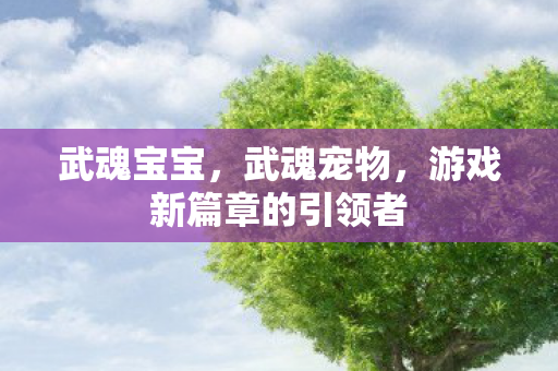 武魂宝宝,武魂宠物,游戏新篇章的引领者 武魂宝宝,武魂宠物,游戏新篇章的引领者