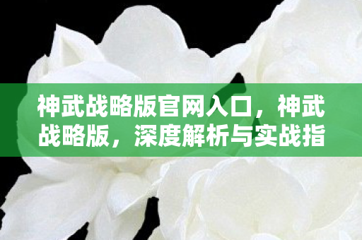 神武战略版官网入口,神武战略版,深度解析与实战指南 神武战略版官网入口,神武战略版,深度解析与实战指南