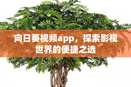 向日葵视频app,探索影视世界的便捷之选 向日葵视频app,探索影视世界的便捷之选