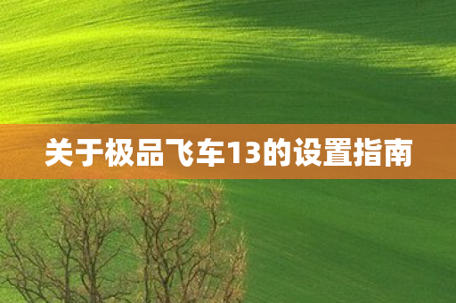 关于极品飞车13的设置指南 关于极品飞车13的设置指南