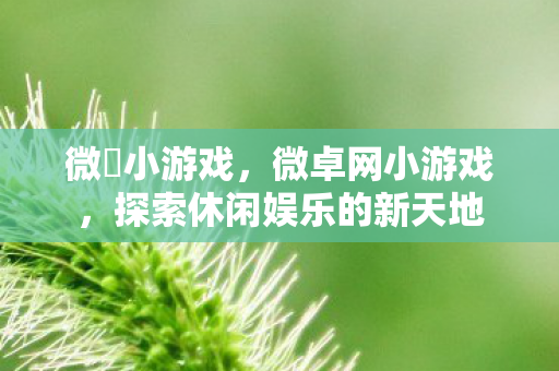 微仐小游戏，微卓网小游戏，探索休闲娱乐的新天地