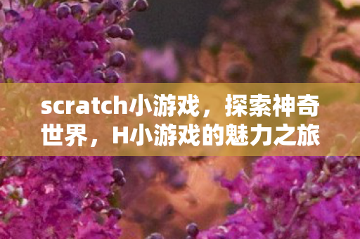 scratch小游戏,探索神奇世界,H小游戏的魅力之旅 scratch小游戏,探索神奇世界,H小游戏的魅力之旅