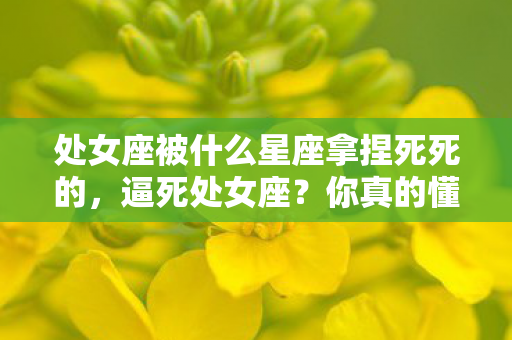 处女座被什么星座拿捏死死的,逼死处女座?你真的懂处女座吗? 处女座被什么星座拿捏死死的,逼死处女座?你真的懂处女座吗?