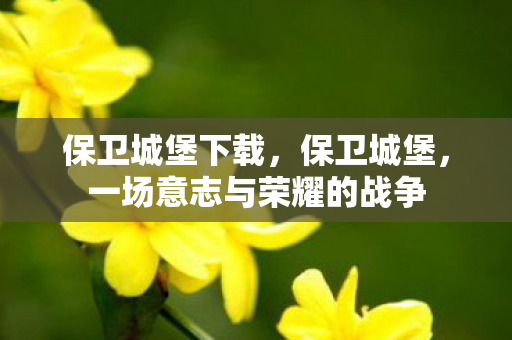保卫城堡下载，保卫城堡，一场意志与荣耀的战争