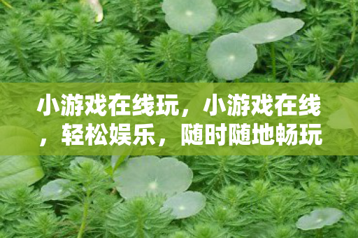 小游戏在线玩，小游戏在线，轻松娱乐，随时随地畅玩不停