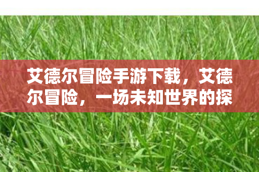 艾德尔冒险手游下载,艾德尔冒险,一场未知世界的探索之旅 艾德尔冒险手游下载,艾德尔冒险,一场未知世界的探索之旅