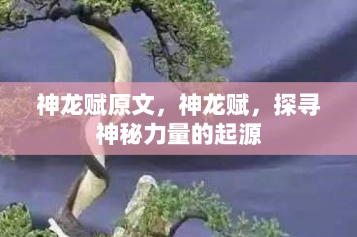 神龙赋原文,神龙赋,探寻神秘力量的起源 神龙赋原文,神龙赋,探寻神秘力量的起源