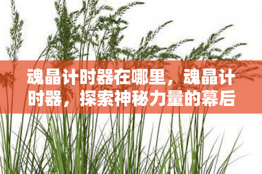 魂晶计时器在哪里，魂晶计时器，探索神秘力量的幕后秘密