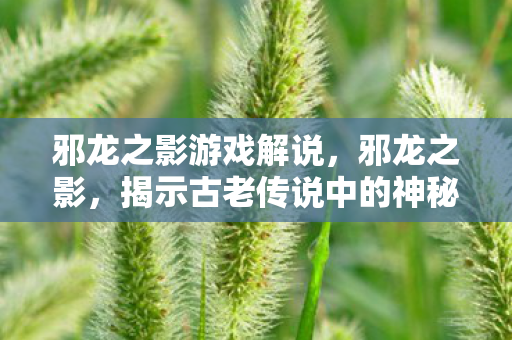 邪龙之影游戏解说，邪龙之影，揭示古老传说中的神秘生物